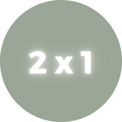 2 X 1