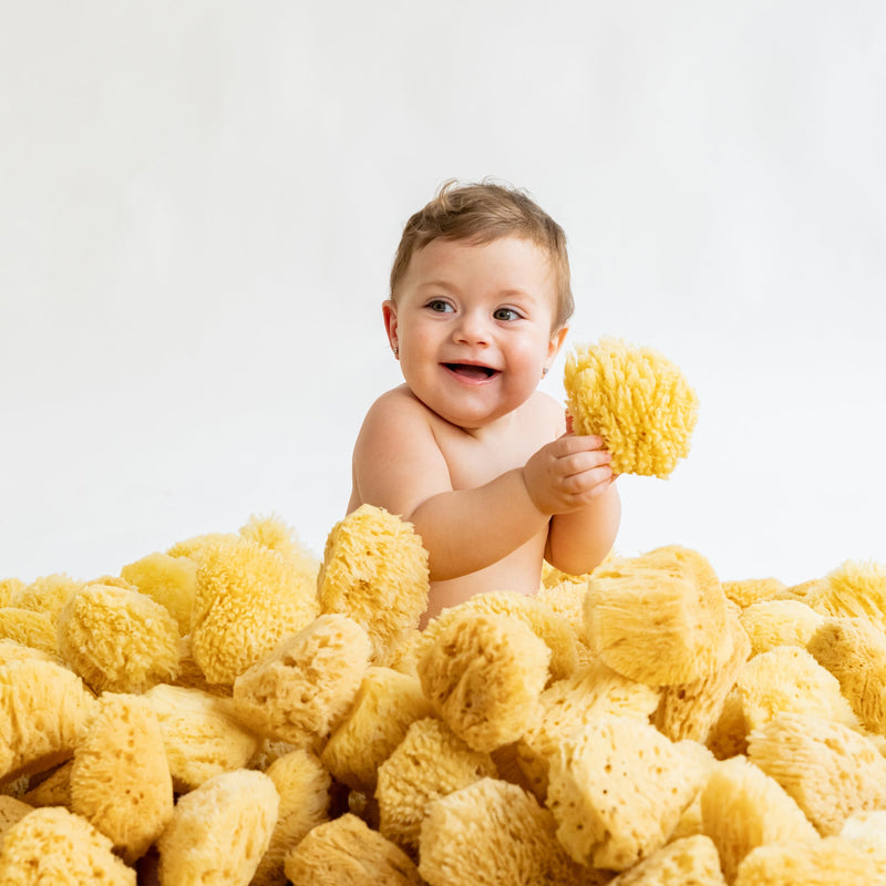 Esponja natural - Saro New