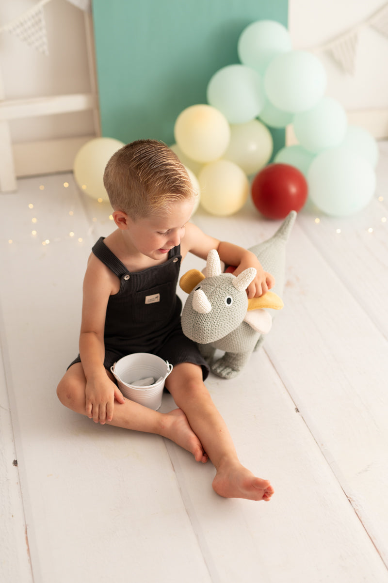 PELUCHE TRICERAPTUS BRUTUSH MINI.