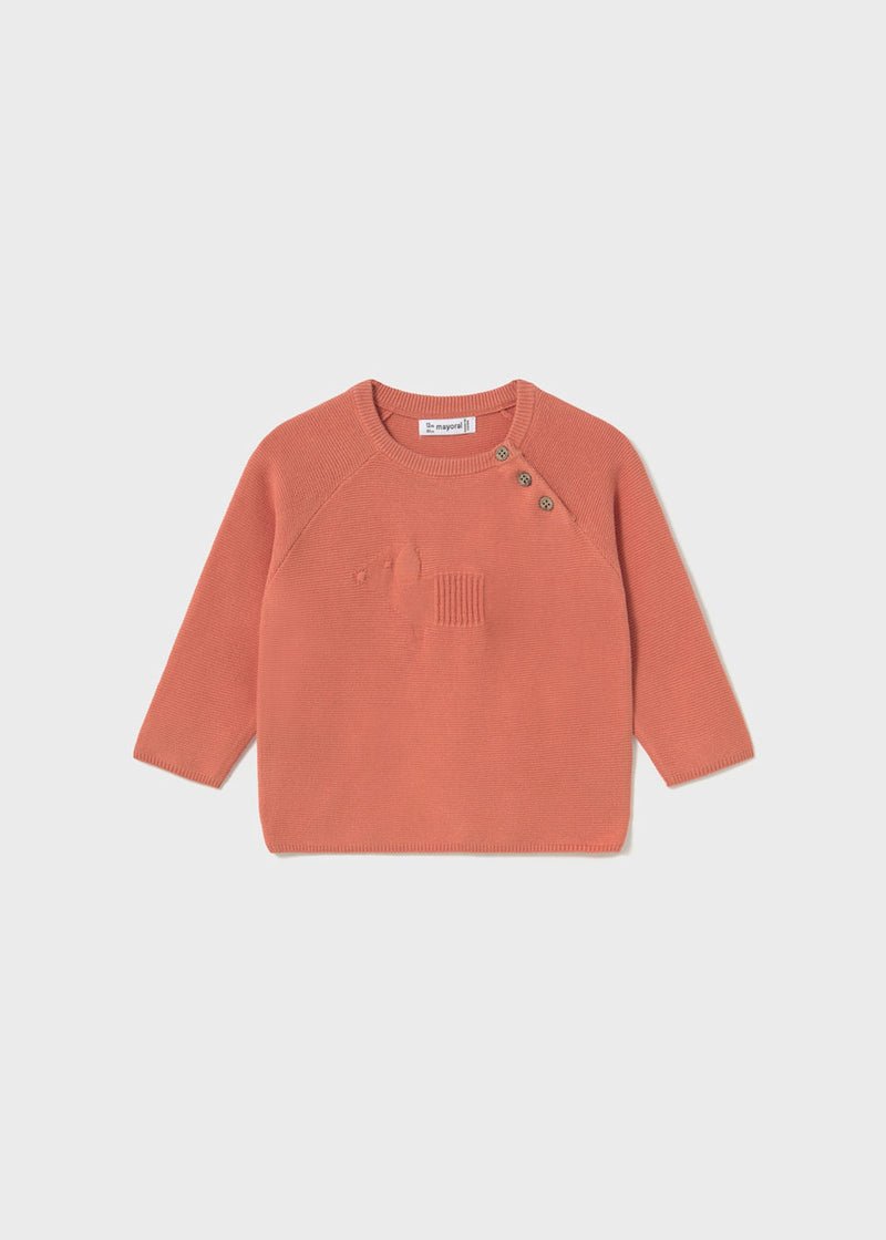 Jersey intarsia bebé